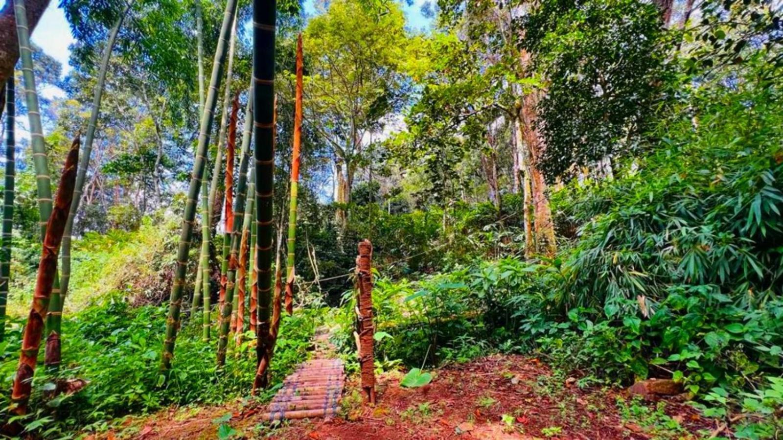 Bamboo Dale Resort, Munnar Eksteriør billede
