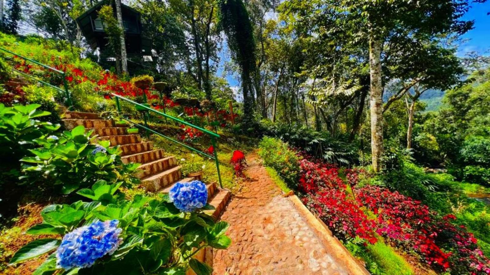 Bamboo Dale Resort, Munnar Eksteriør billede