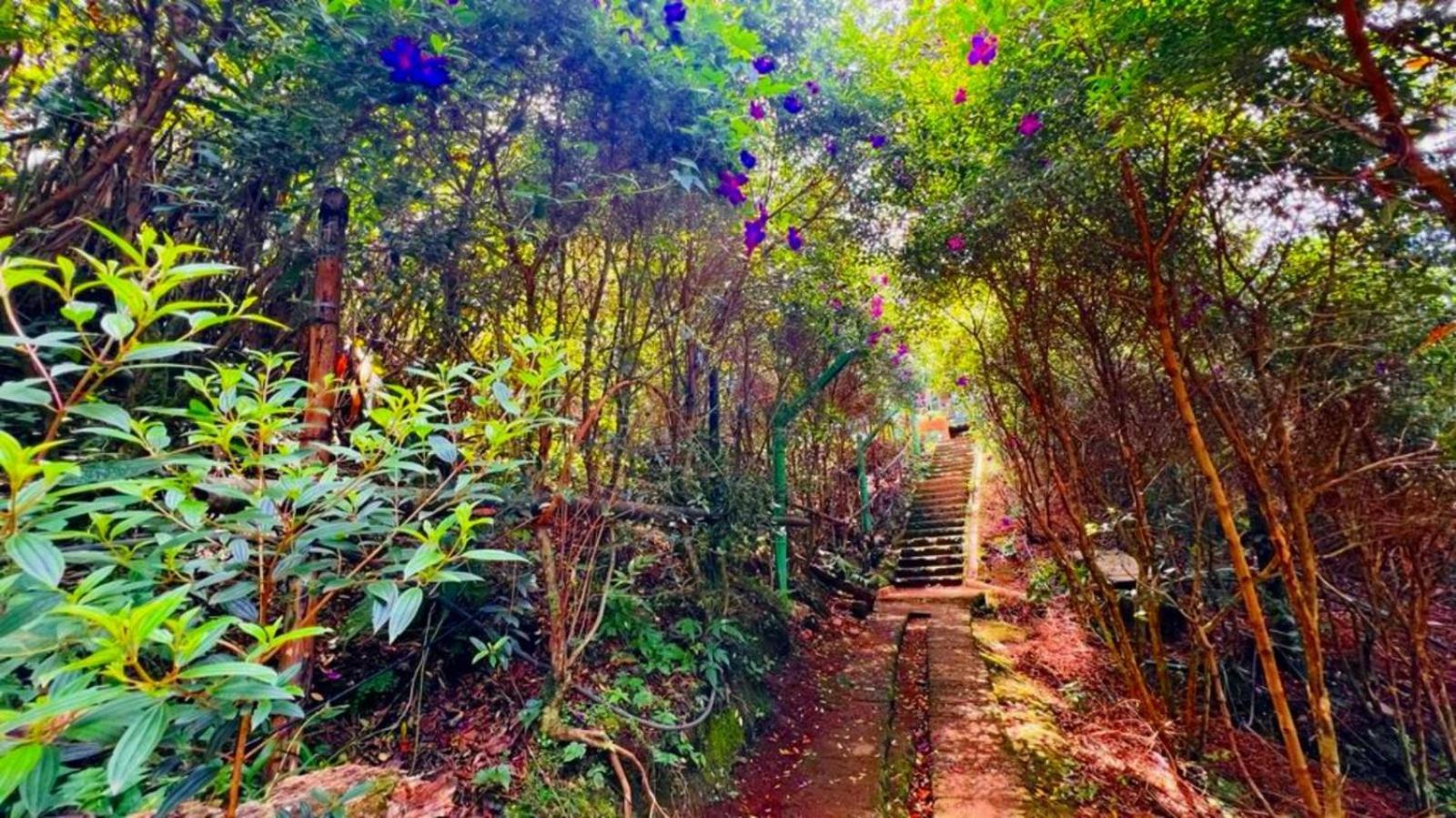 Bamboo Dale Resort, Munnar Eksteriør billede