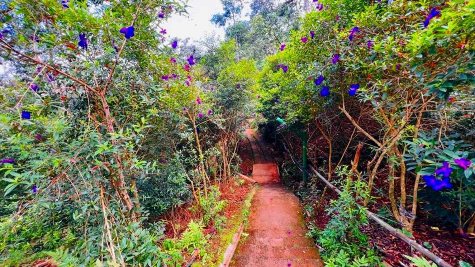Bamboo Dale Resort, Munnar Eksteriør billede
