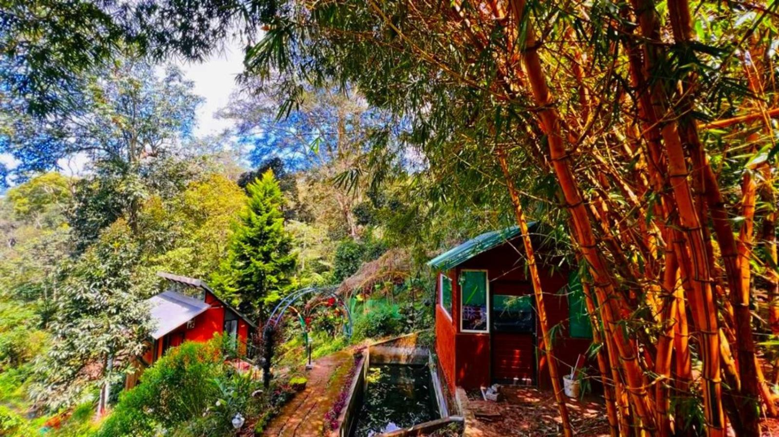 Bamboo Dale Resort, Munnar Eksteriør billede