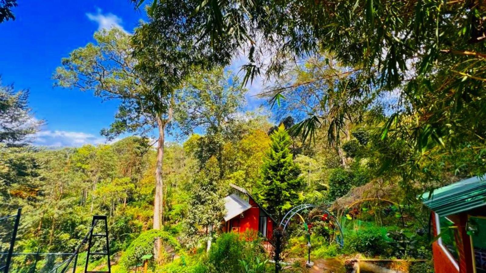 Bamboo Dale Resort, Munnar Eksteriør billede