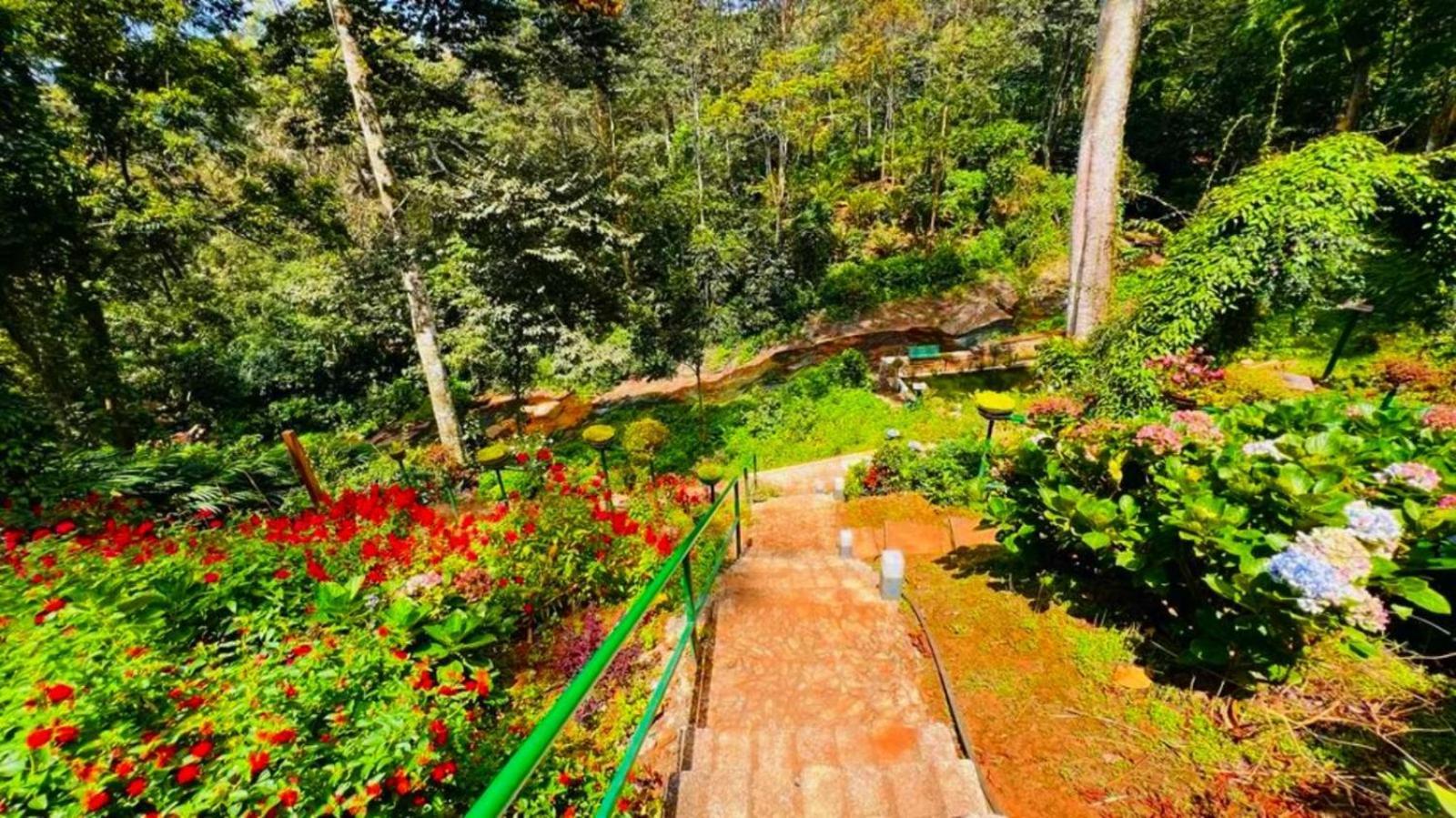 Bamboo Dale Resort, Munnar Eksteriør billede