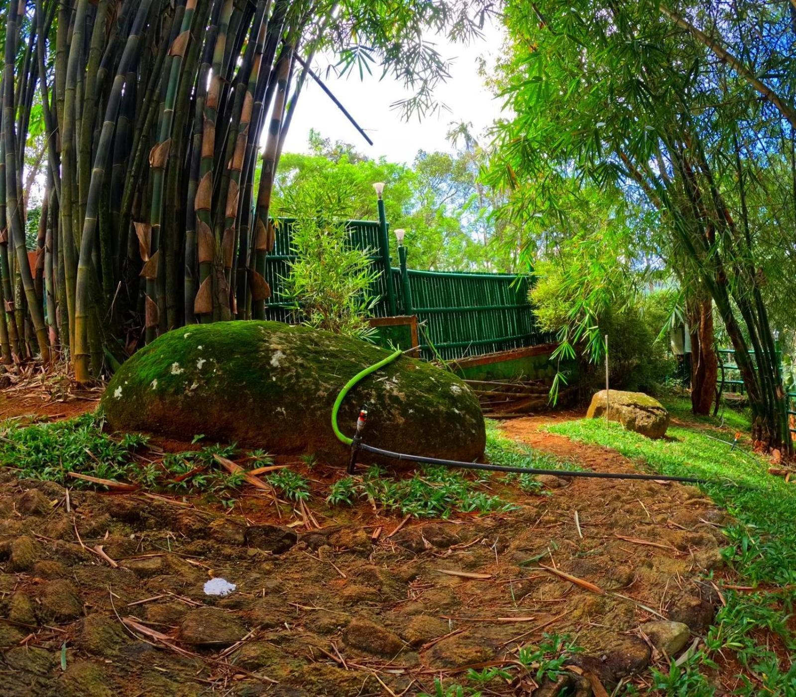 Bamboo Dale Resort, Munnar Eksteriør billede