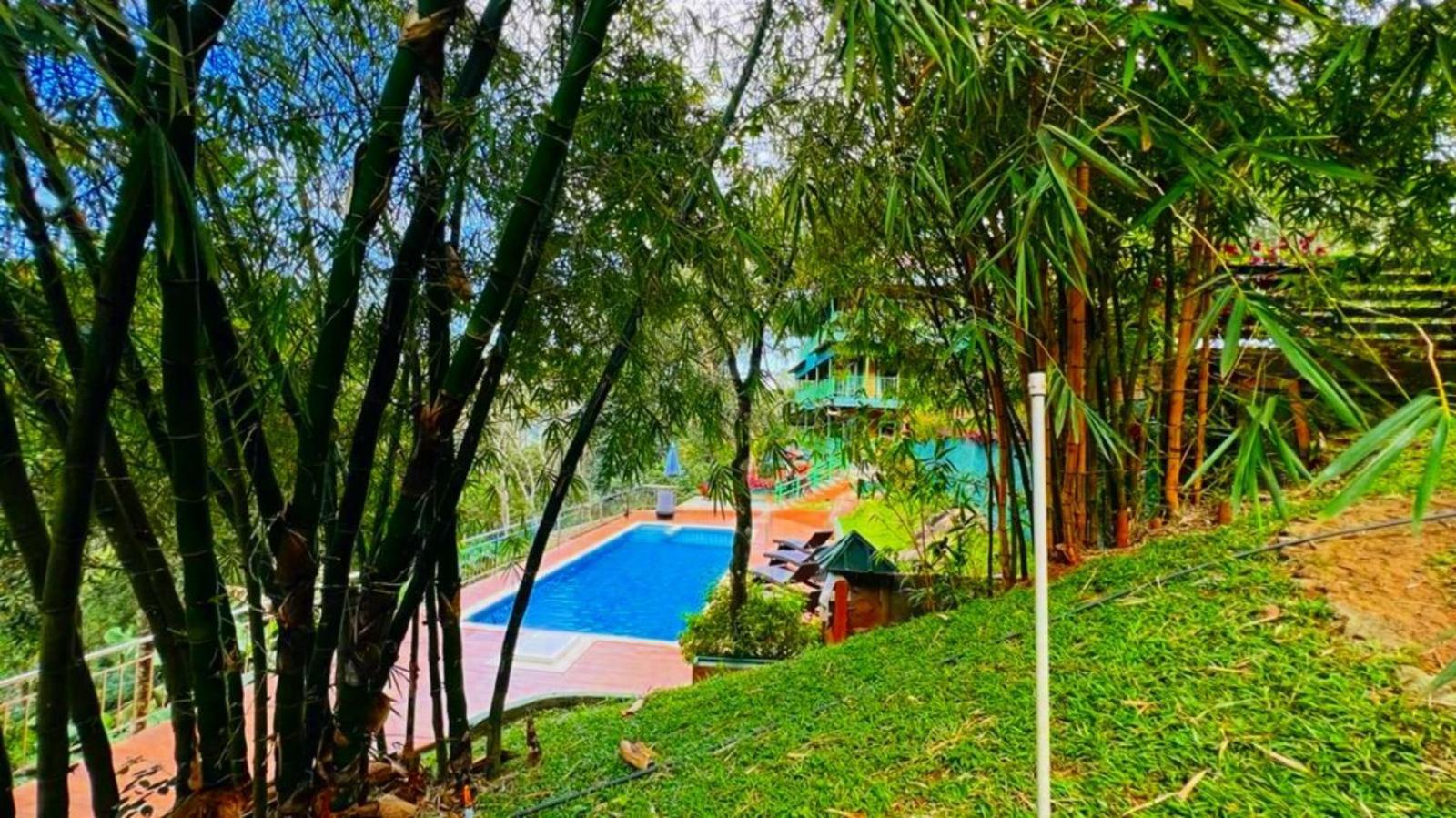 Bamboo Dale Resort, Munnar Eksteriør billede