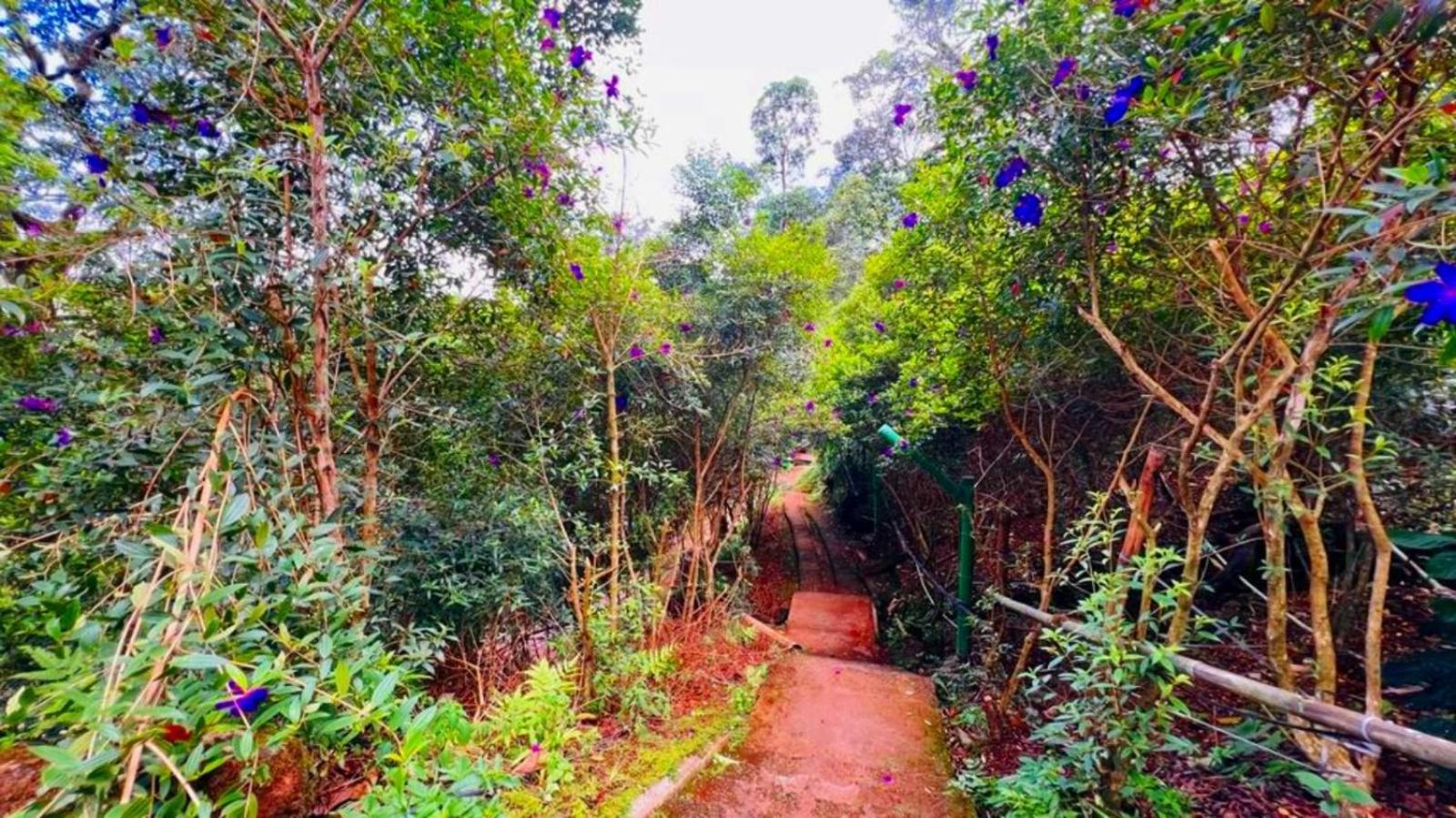 Bamboo Dale Resort, Munnar Eksteriør billede