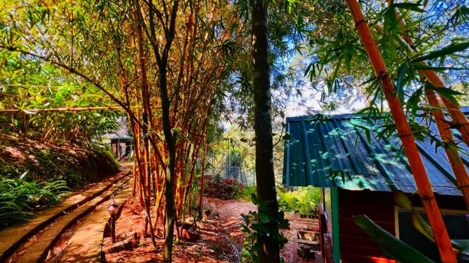 Bamboo Dale Resort, Munnar Eksteriør billede