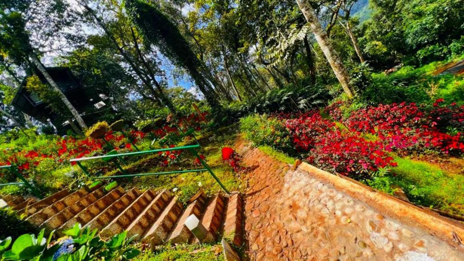 Bamboo Dale Resort, Munnar Eksteriør billede