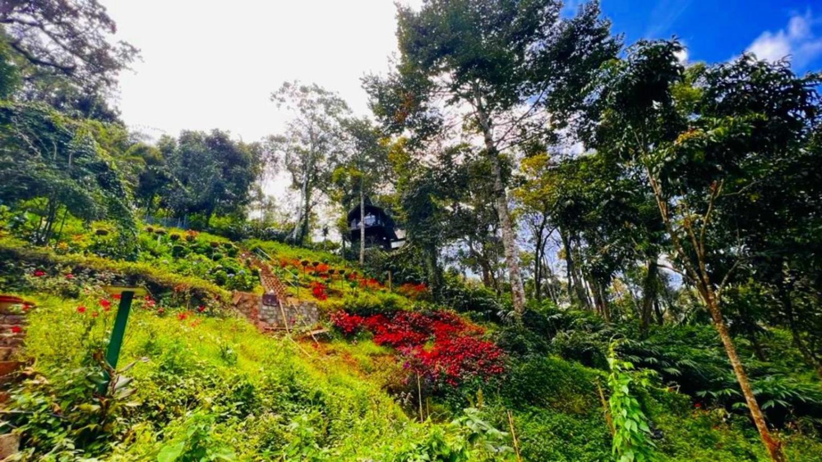 Bamboo Dale Resort, Munnar Eksteriør billede