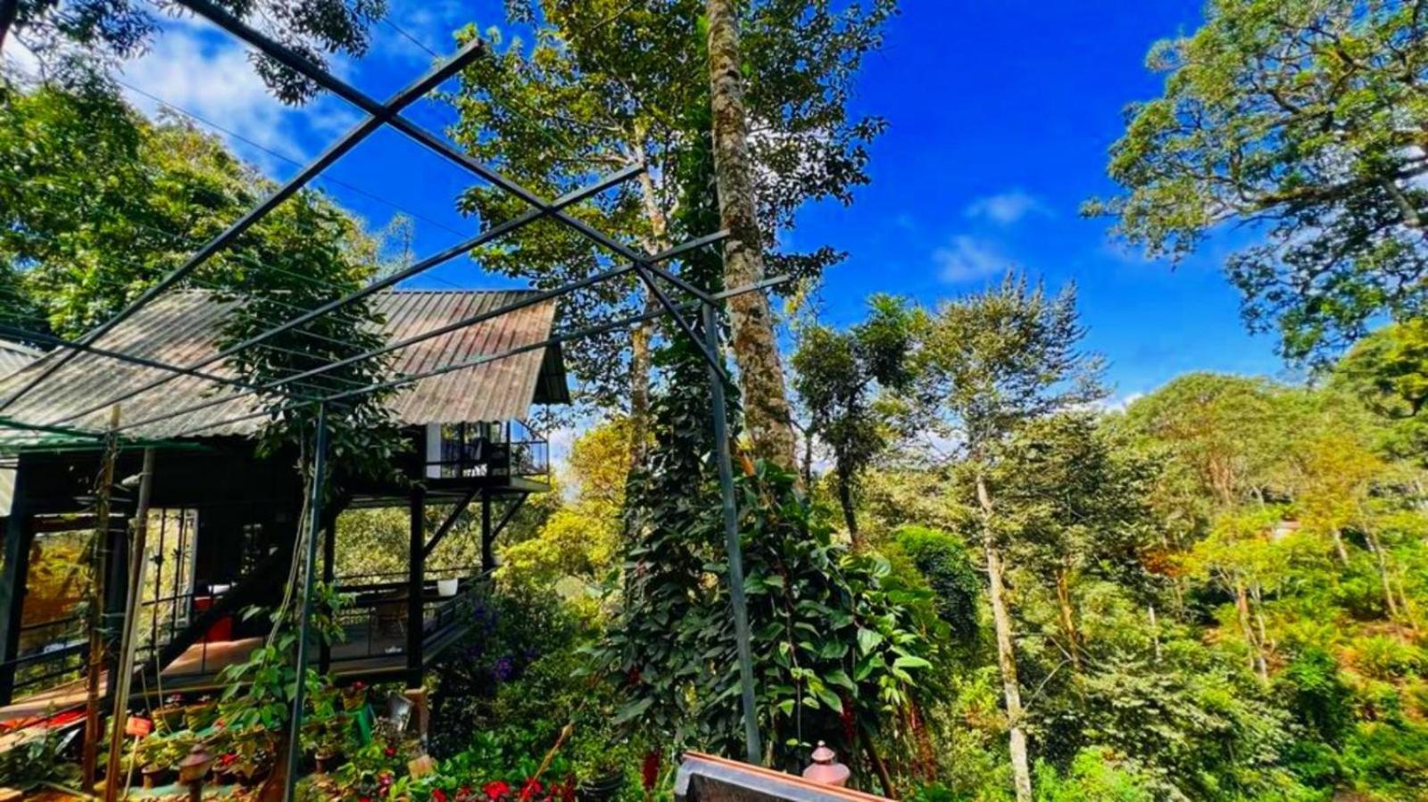 Bamboo Dale Resort, Munnar Eksteriør billede