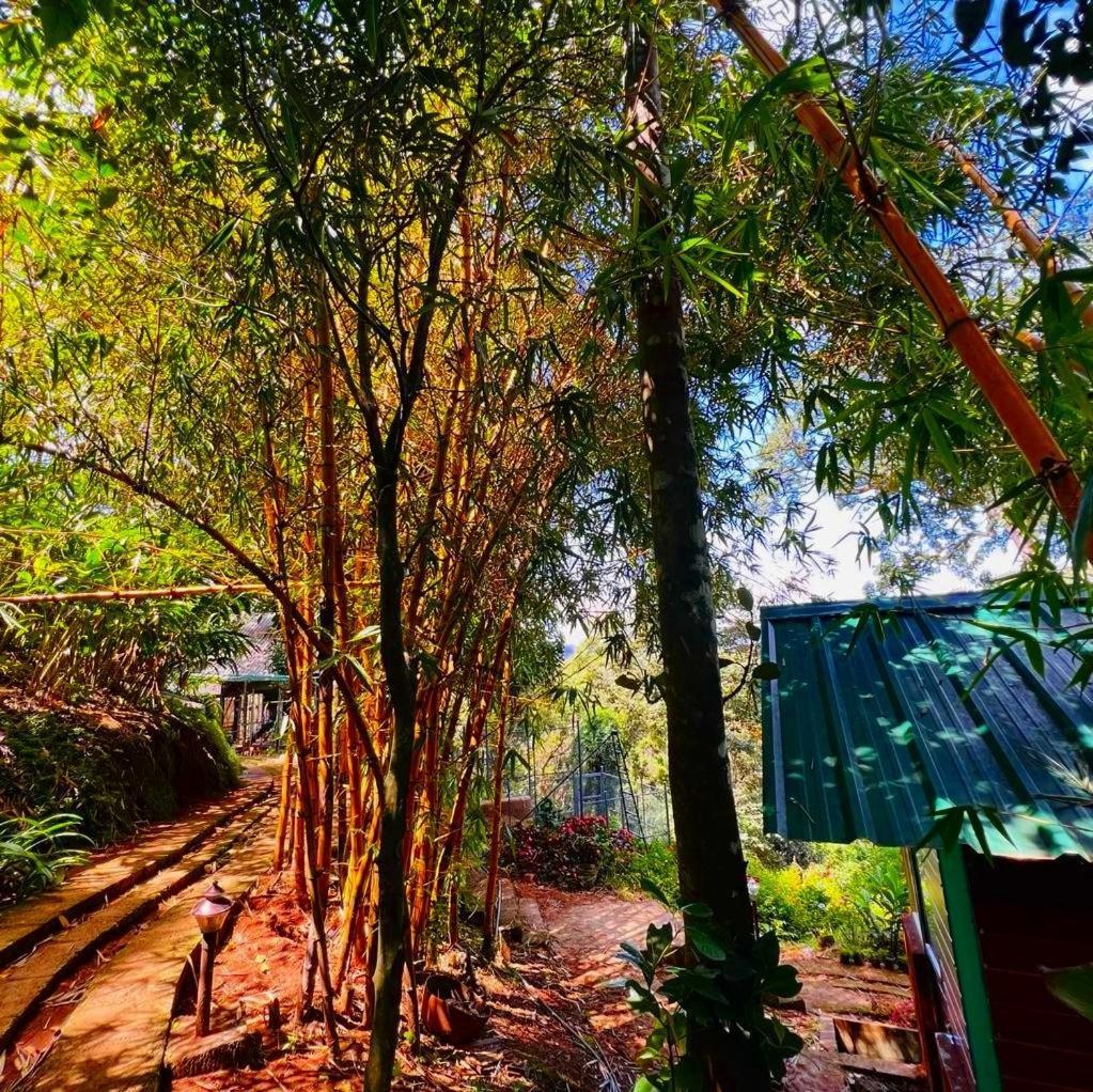 Bamboo Dale Resort, Munnar Eksteriør billede