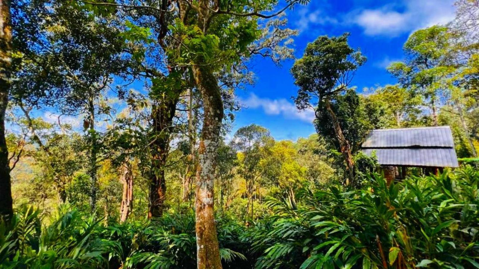 Bamboo Dale Resort, Munnar Eksteriør billede