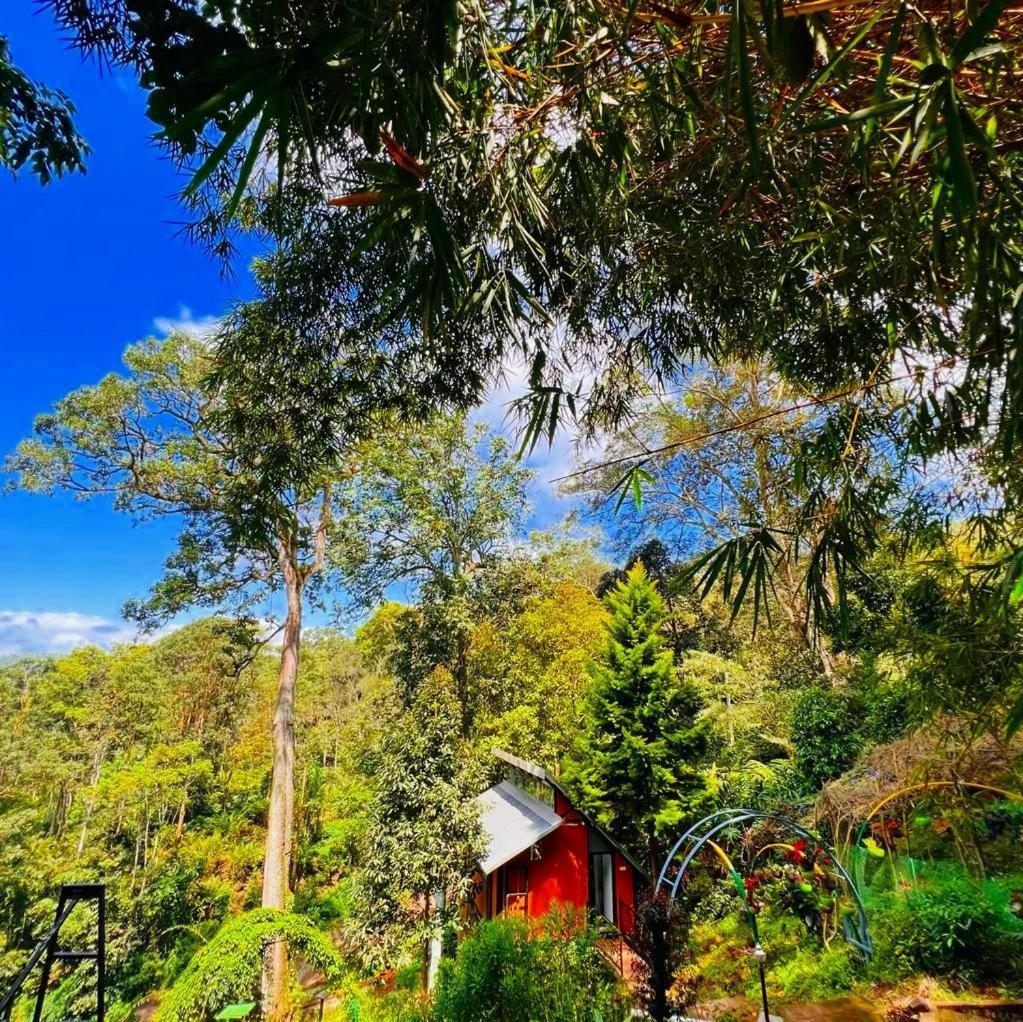 Bamboo Dale Resort, Munnar Eksteriør billede