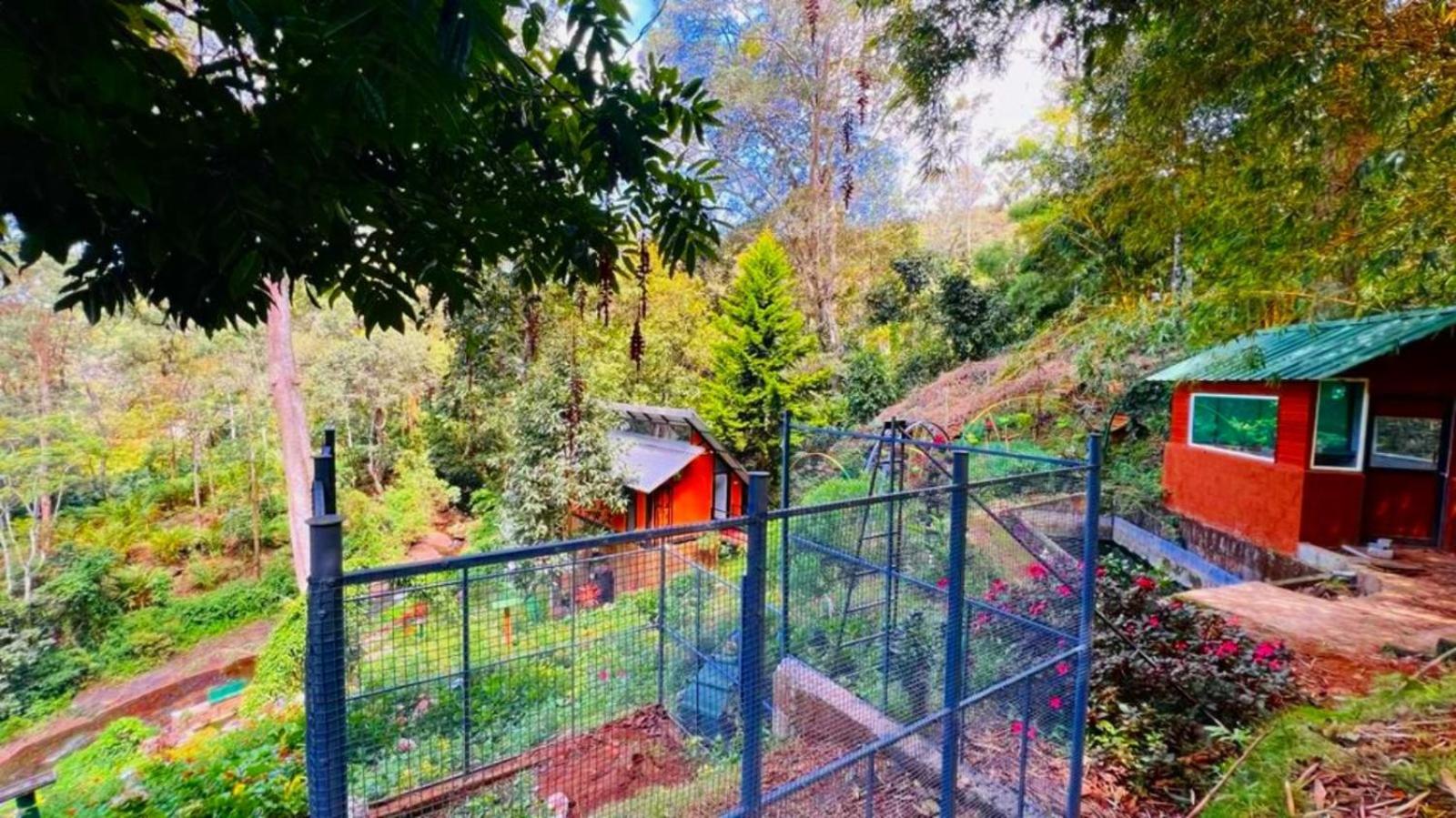 Bamboo Dale Resort, Munnar Eksteriør billede