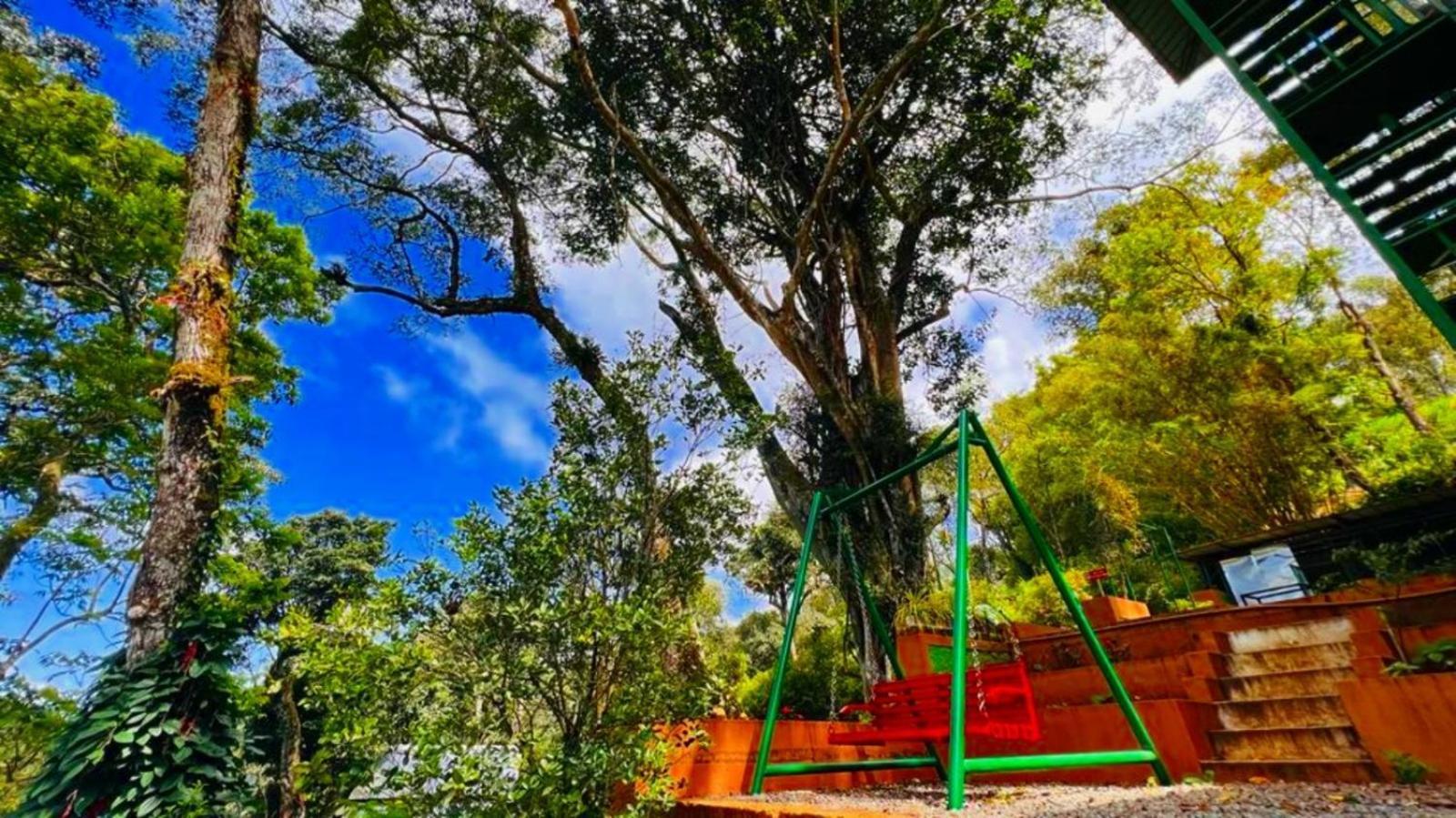 Bamboo Dale Resort, Munnar Eksteriør billede