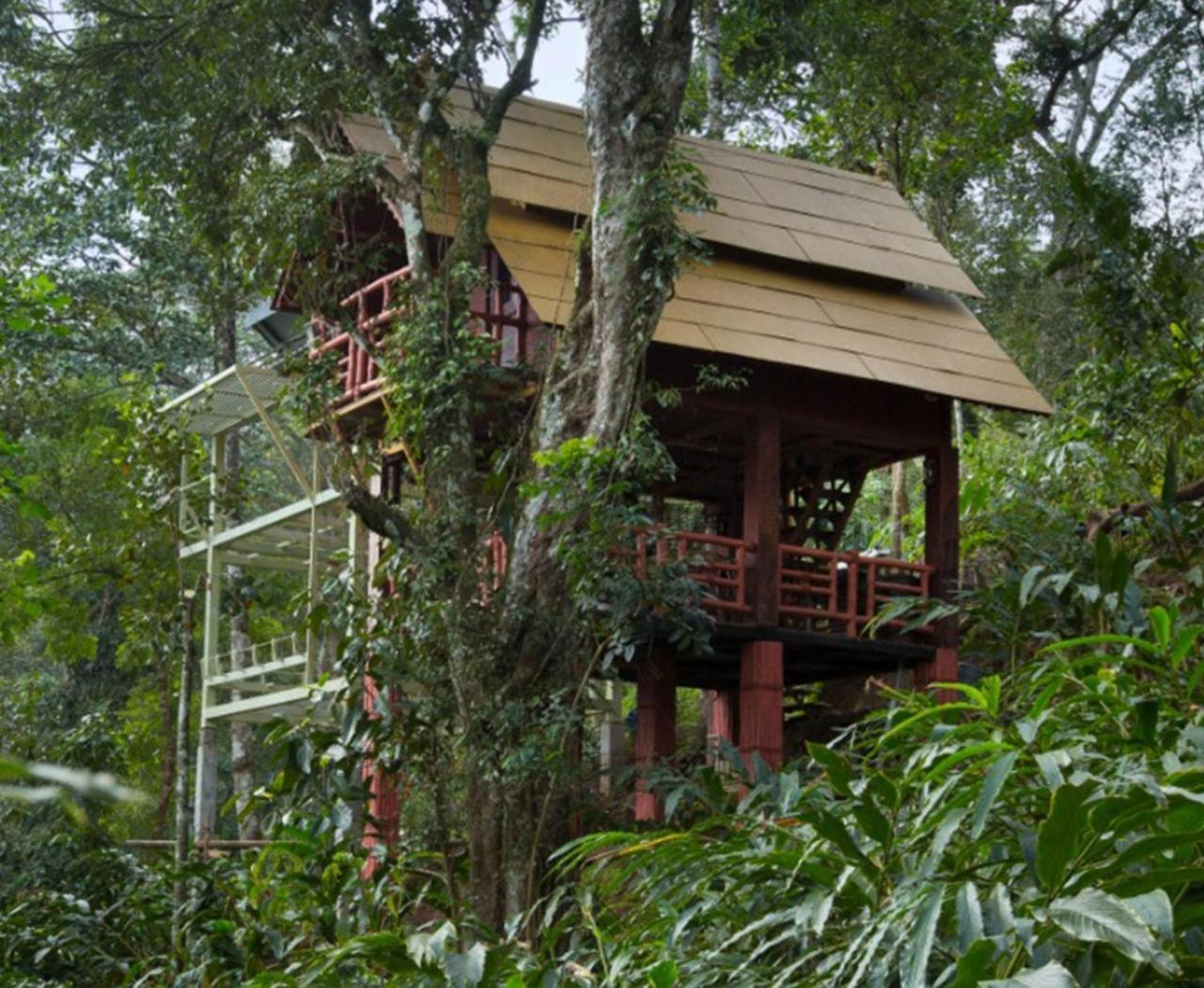 Bamboo Dale Resort, Munnar Eksteriør billede