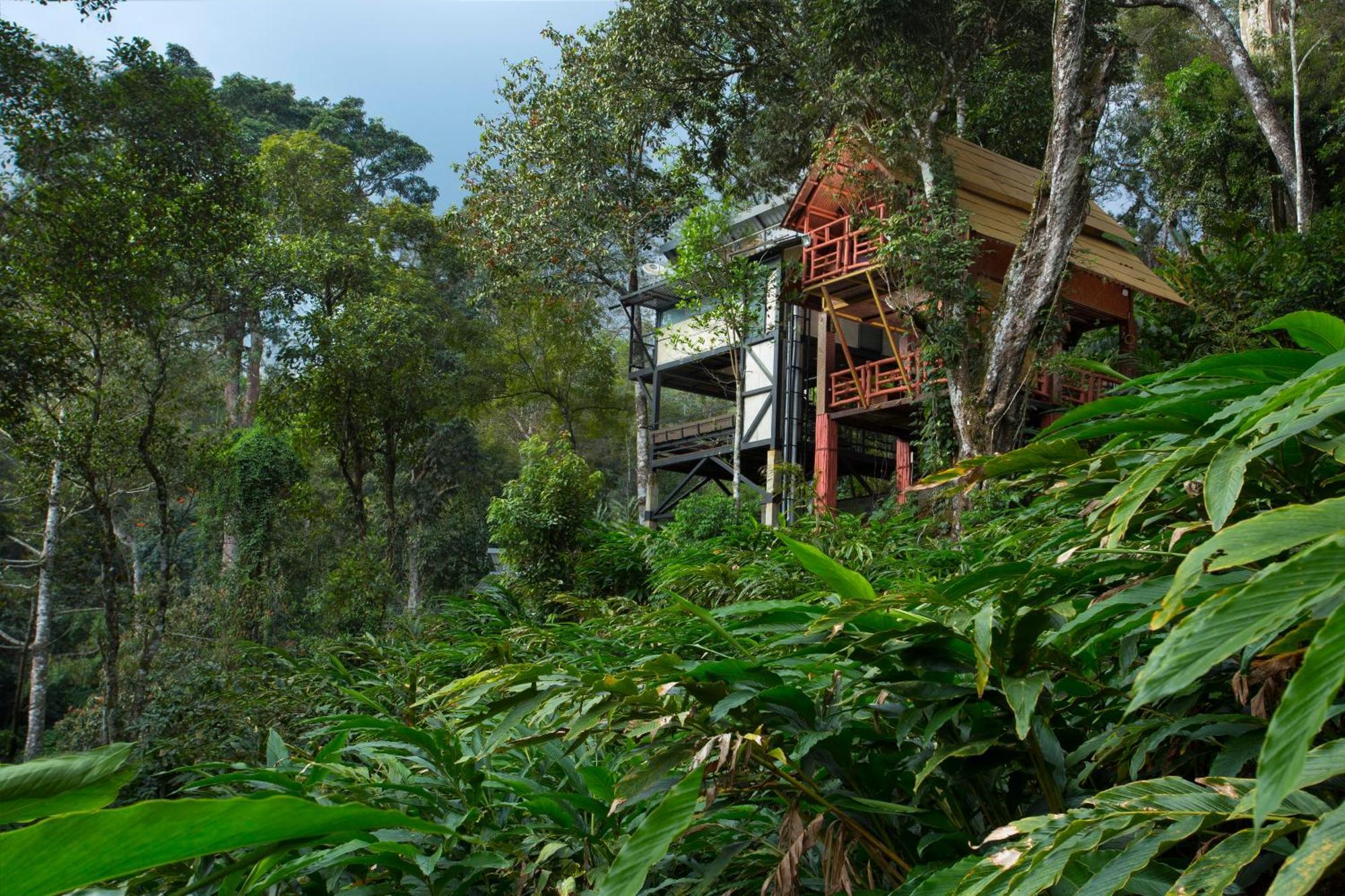 Bamboo Dale Resort, Munnar Eksteriør billede