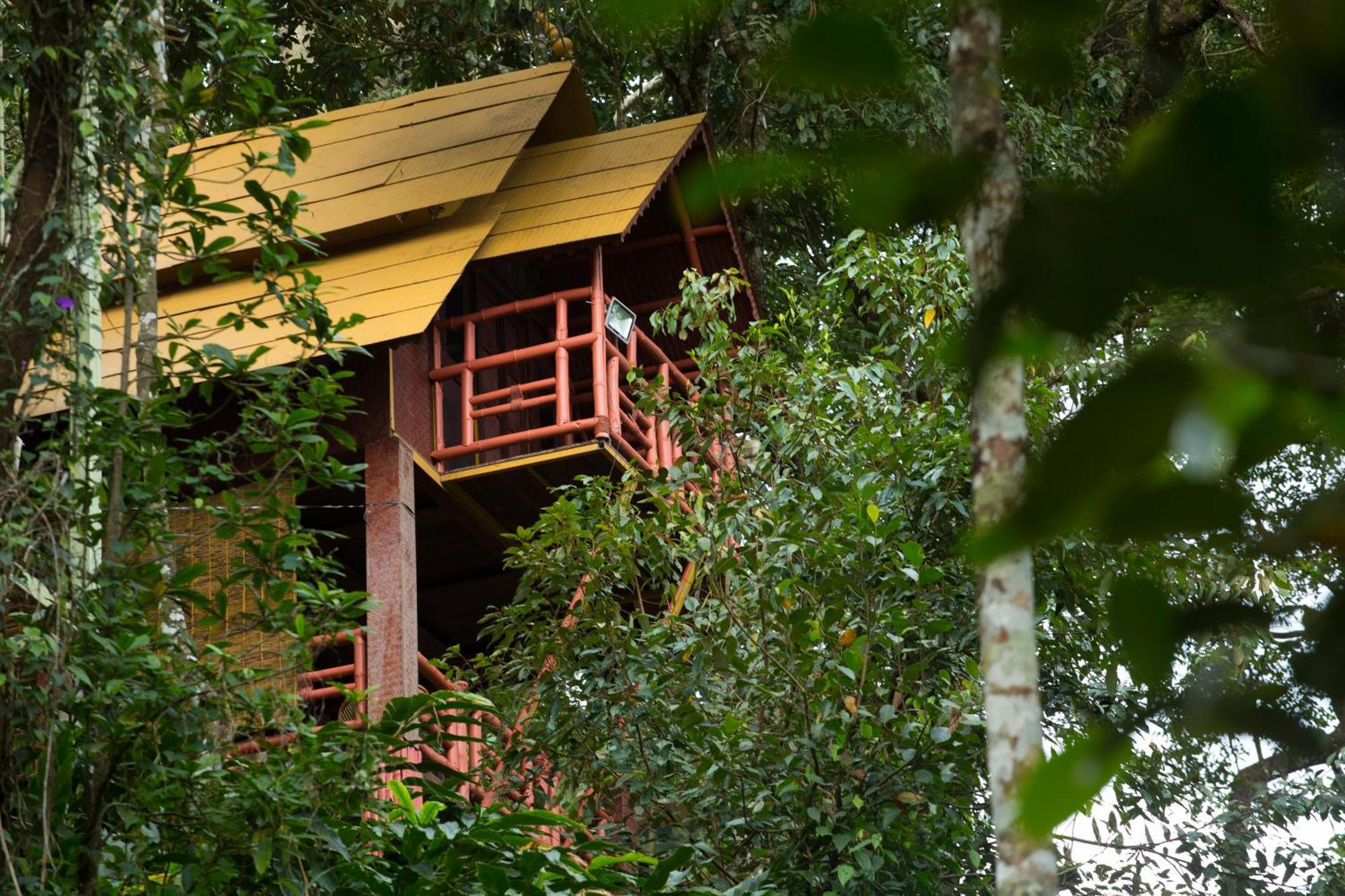 Bamboo Dale Resort, Munnar Eksteriør billede