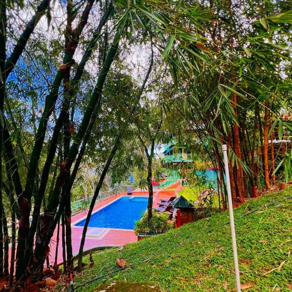 Bamboo Dale Resort, Munnar Eksteriør billede