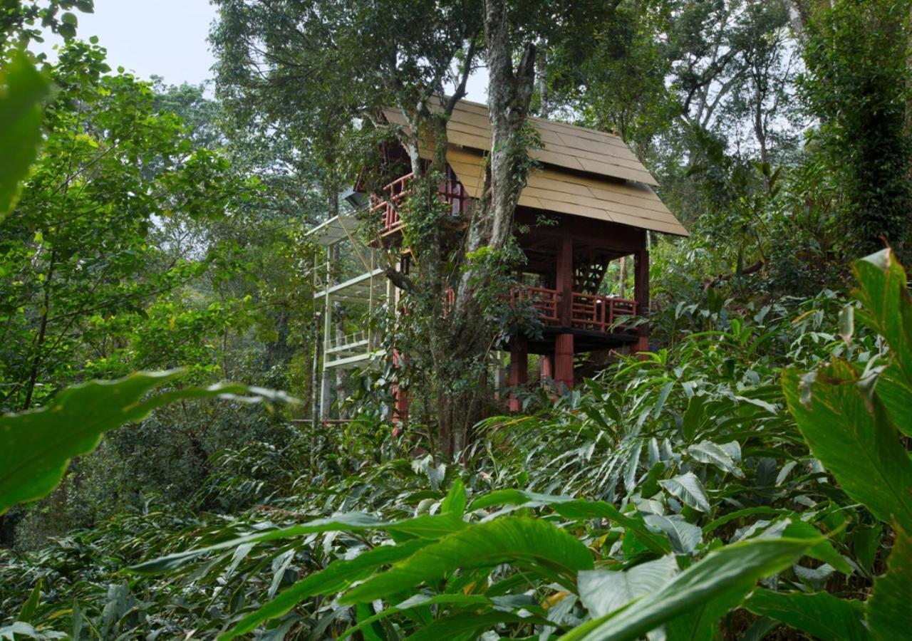 Bamboo Dale Resort, Munnar Eksteriør billede